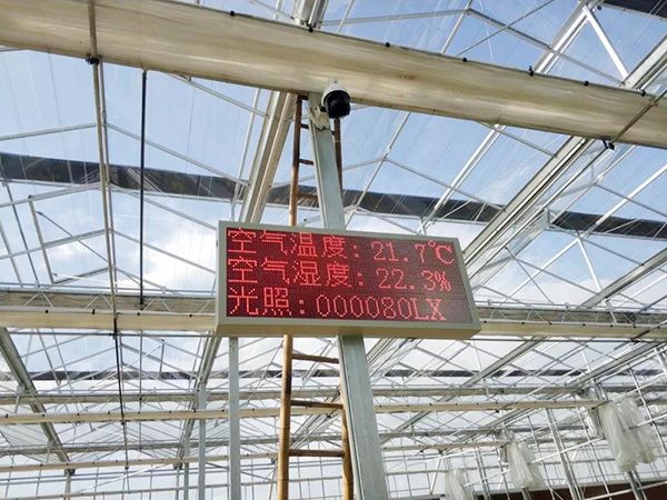微信圖片_20190731095443.jpg