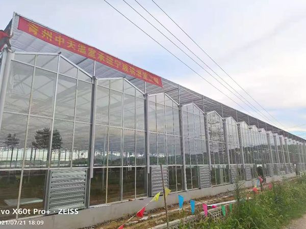 玻璃溫室