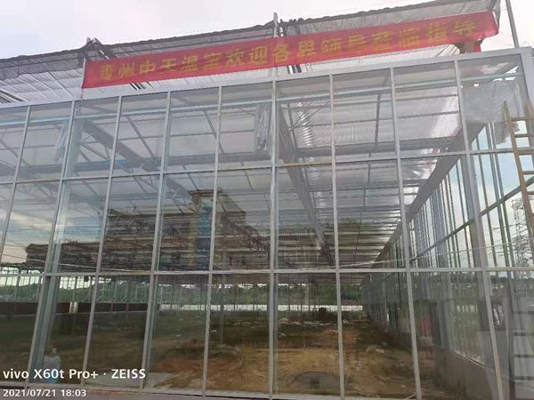 玻璃溫室
